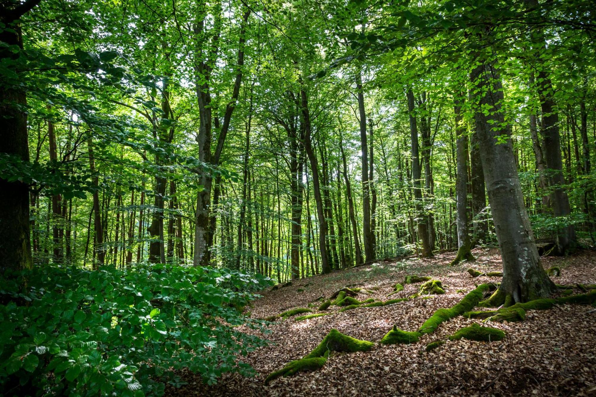 Hu Birkelt Village Larochette Zewnętrze zdjęcie