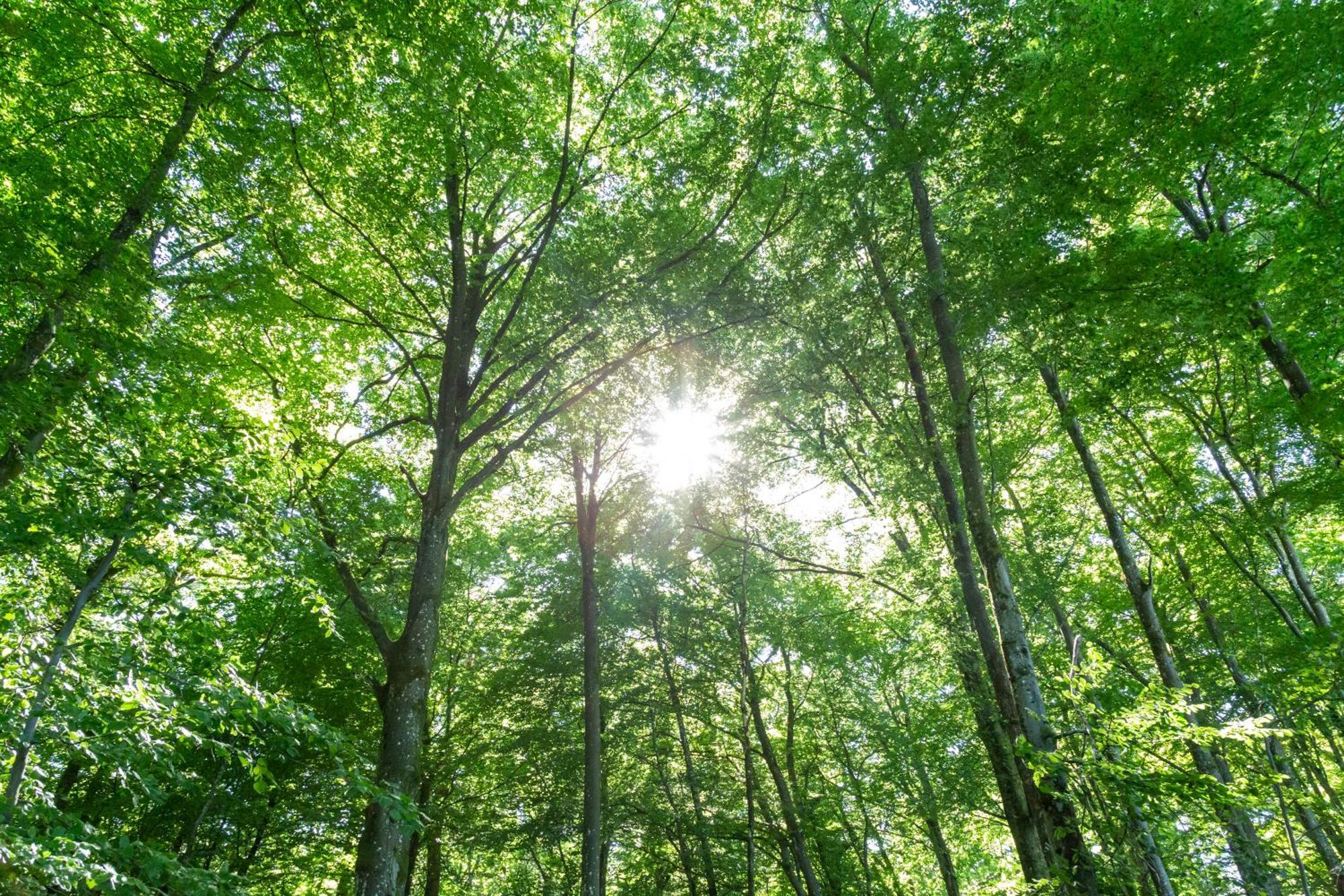 Hu Birkelt Village Larochette Zewnętrze zdjęcie